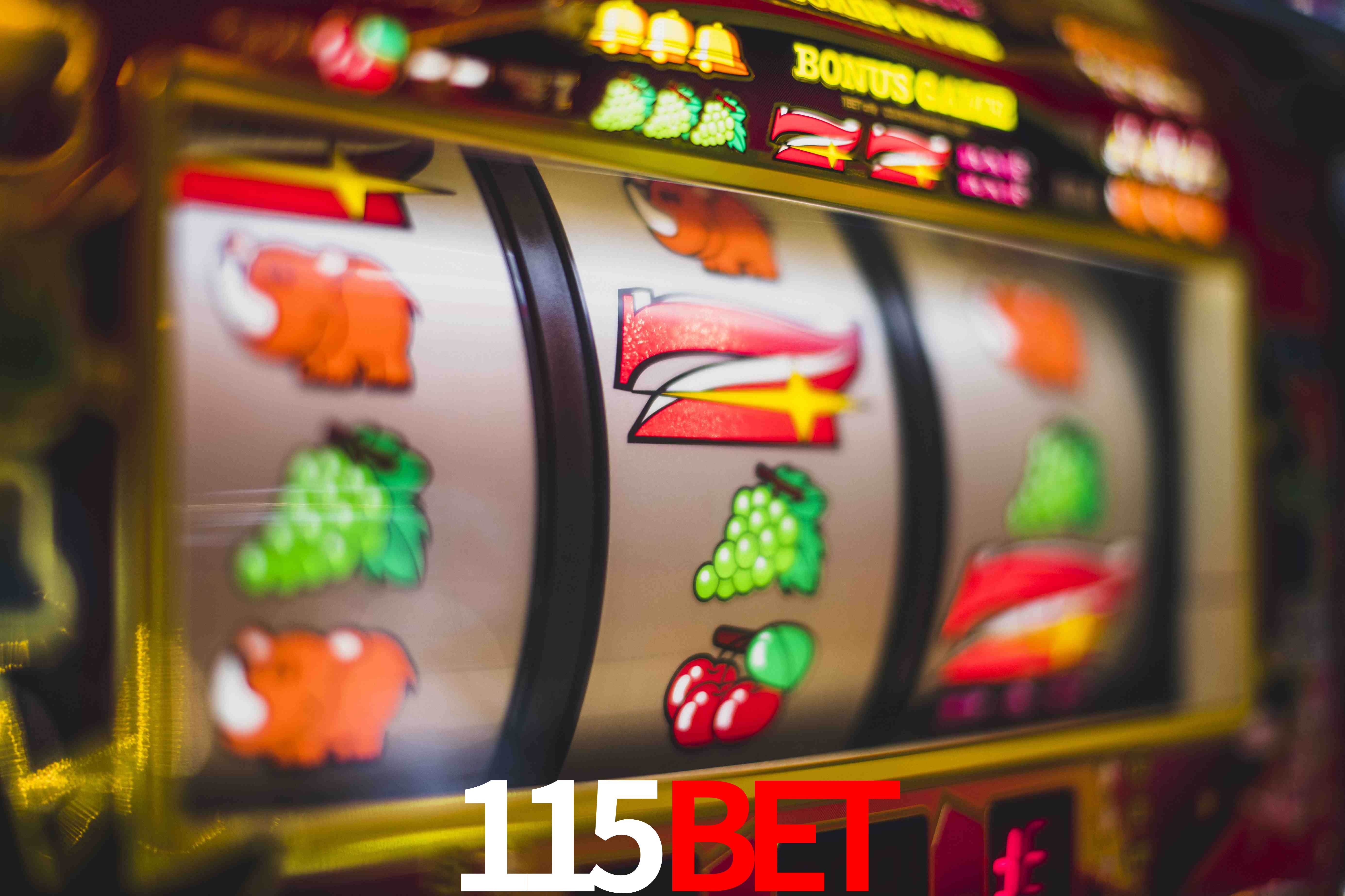 Sports Statistics 115bet